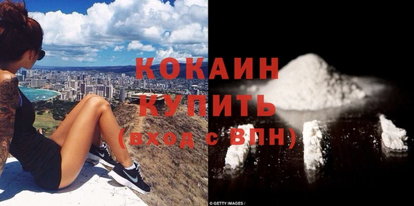 дмт Осташков