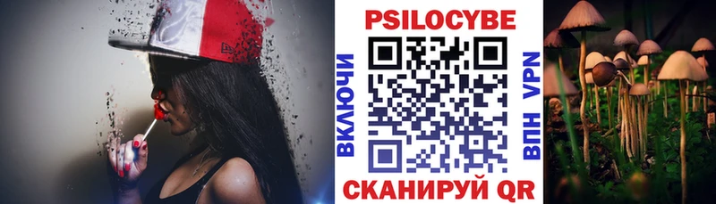 Галлюциногенные грибы Magic Shrooms  купить закладку  Северодвинск 
