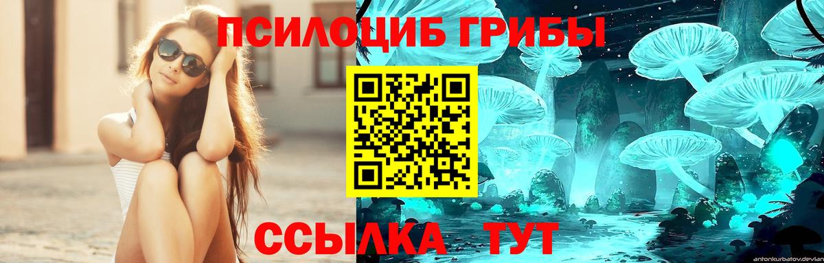 закладка  Вход с VPN  Северодвинск  Галлюциногенные грибы Psilocybe 